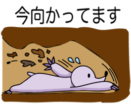 Mogura-chan(The mole) sticker #6703772