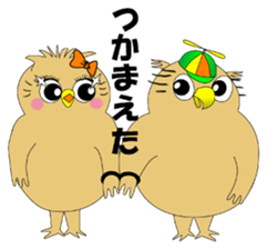 Boy Owl sticker #6704349