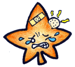 star maple sticker #6704885