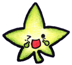 star maple sticker #6704890
