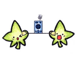 star maple sticker #6704905