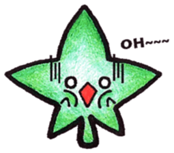 star maple sticker #6704914