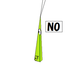 Acrida cinerea(English ver.) sticker #6706041