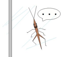 Acrida cinerea(English ver.) sticker #6706043