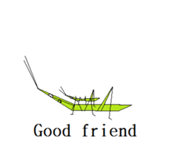 Acrida cinerea(English ver.) sticker #6706044