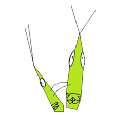 Acrida cinerea(English ver.) sticker #6706046