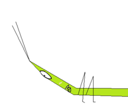 Acrida cinerea(English ver.) sticker #6706049