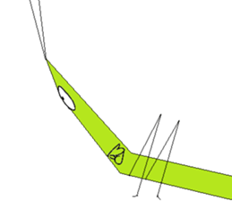 Acrida cinerea(English ver.) sticker #6706053