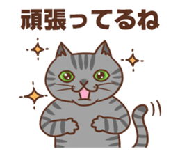 Cheering cats sticker #6706401