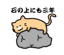 Chillin cat sticker #6706667