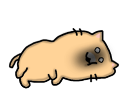 Chillin cat sticker #6706675