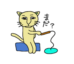 Cool cat has come sticker #6708752