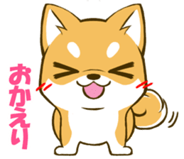 Japanese Shiba Inu tan sticker #6710291