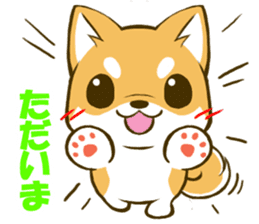 Japanese Shiba Inu tan sticker #6710292
