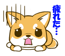 Japanese Shiba Inu tan sticker #6710294