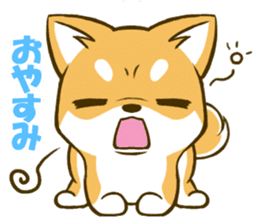 Japanese Shiba Inu tan sticker #6710296