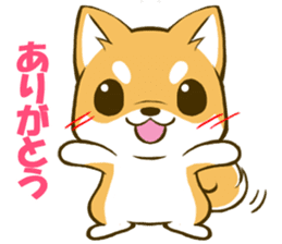 Japanese Shiba Inu tan sticker #6710298