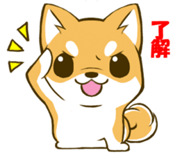 Japanese Shiba Inu tan sticker #6710300