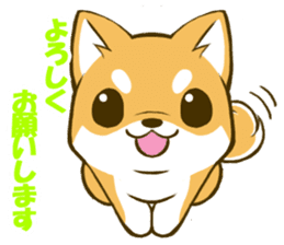 Japanese Shiba Inu tan sticker #6710301