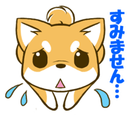 Japanese Shiba Inu tan sticker #6710302