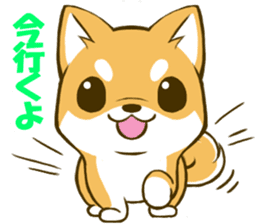 Japanese Shiba Inu tan sticker #6710307