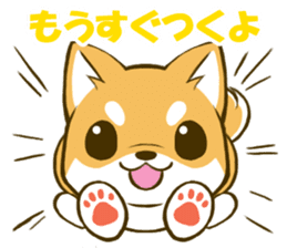 Japanese Shiba Inu tan sticker #6710308