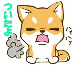 Japanese Shiba Inu tan sticker #6710309