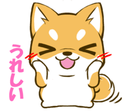 Japanese Shiba Inu tan sticker #6710310