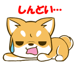 Japanese Shiba Inu tan sticker #6710313