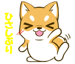 Japanese Shiba Inu tan sticker #6710314