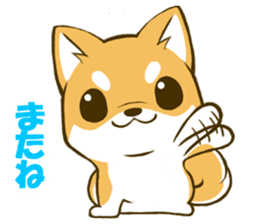 Japanese Shiba Inu tan sticker #6710315