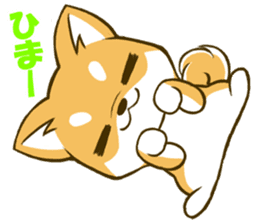 Japanese Shiba Inu tan sticker #6710324