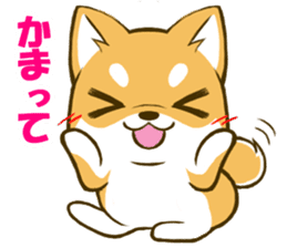 Japanese Shiba Inu tan sticker #6710325