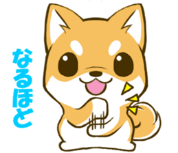 Japanese Shiba Inu tan sticker #6710326