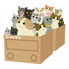 Chiffon and Marron 2