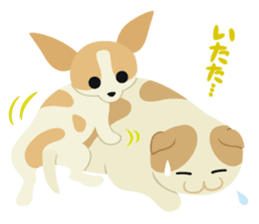 Chiffon and Marron 2 sticker #6711492