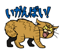 Hakata dialect cats sticker #6712129