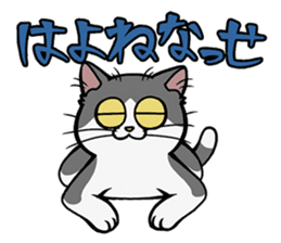 Hakata dialect cats sticker #6712130