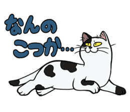 Hakata dialect cats sticker #6712131