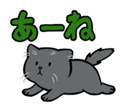 Hakata dialect cats sticker #6712132