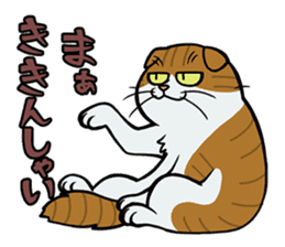 Hakata dialect cats sticker #6712134