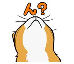 Hakata dialect cats sticker #6712142