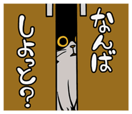 Hakata dialect cats sticker #6712145