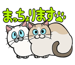 Hakata dialect cats sticker #6712147