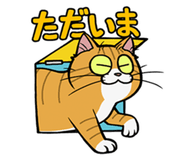 Hakata dialect cats sticker #6712149