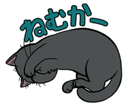 Hakata dialect cats sticker #6712150