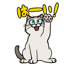 Hakata dialect cats sticker #6712152