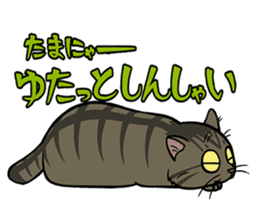 Hakata dialect cats sticker #6712153
