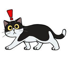 Hakata dialect cats sticker #6712154