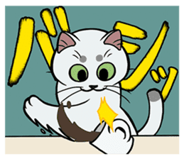Hakata dialect cats sticker #6712155
